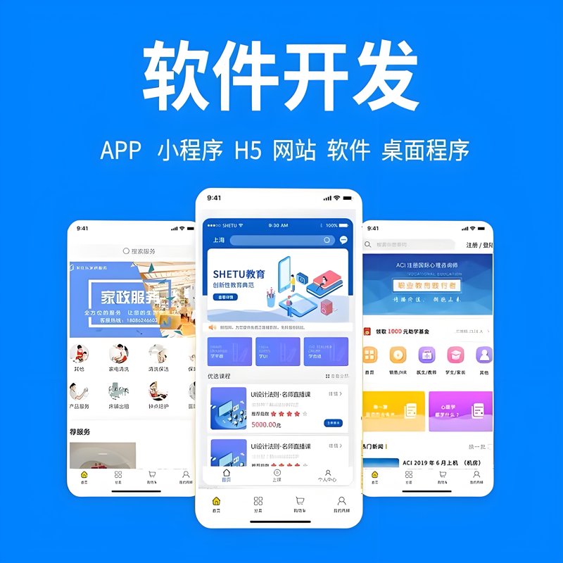 软件开发行业动态：北京领先发展